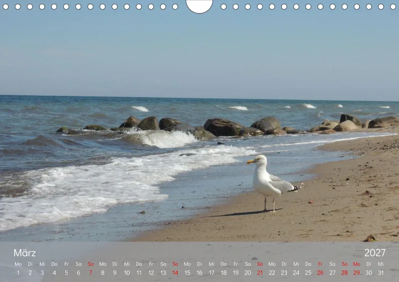 A4 Kalender - Naturgschichtn - Luft und lauter Meer