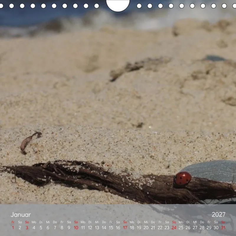 Kalender 20x20 - Naturgschichtn - Luft und lauter Meer