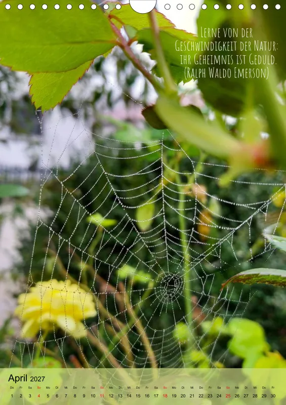Naturflüstern - bunt und voller Leben