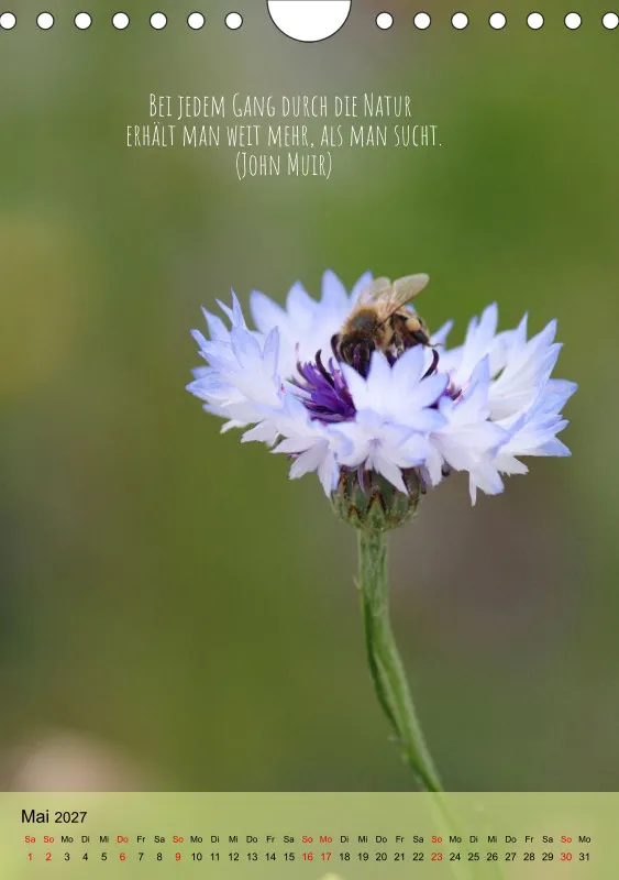 Naturflüstern - bunt und voller Leben