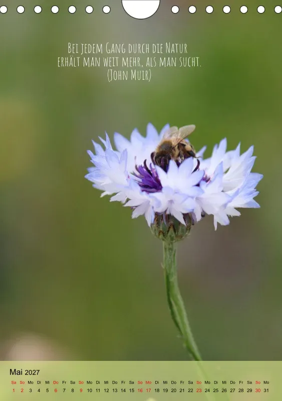 Naturflüstern - bunt und voller Leben
