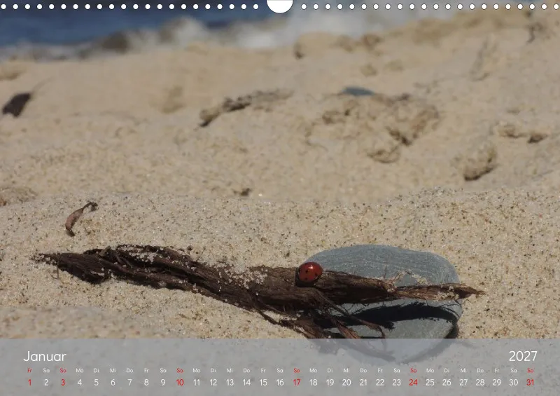 A3 Kalender - Naturgschichtn - Luft und lauter Meer