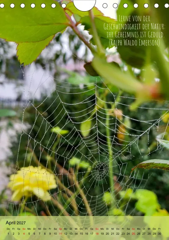 Naturflüstern - bunt und voller Leben