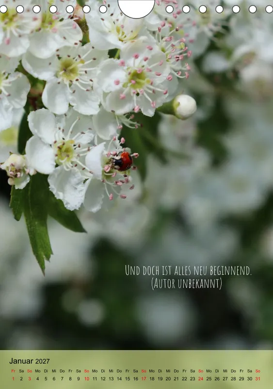 Naturflüstern - bunt und voller Leben