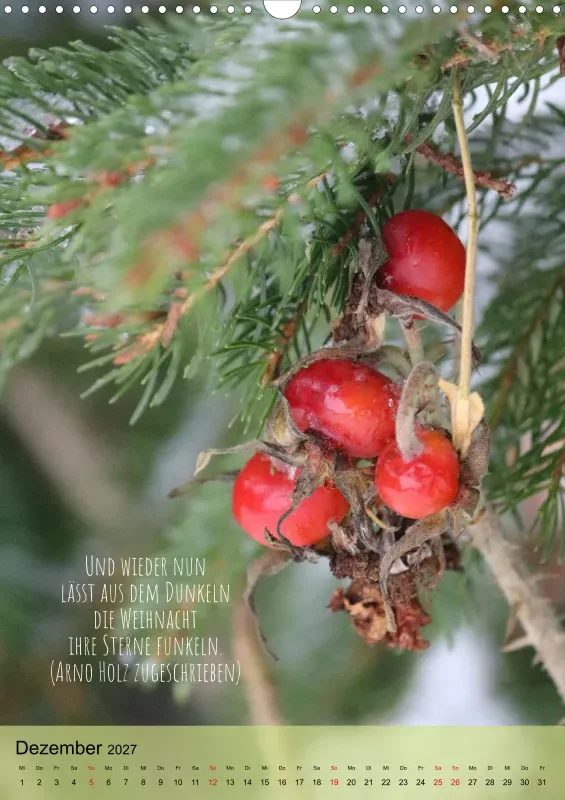 Naturflüstern - bunt und voller Leben