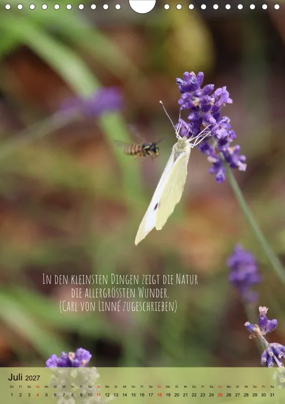 Naturflüstern - bunt und voller Leben