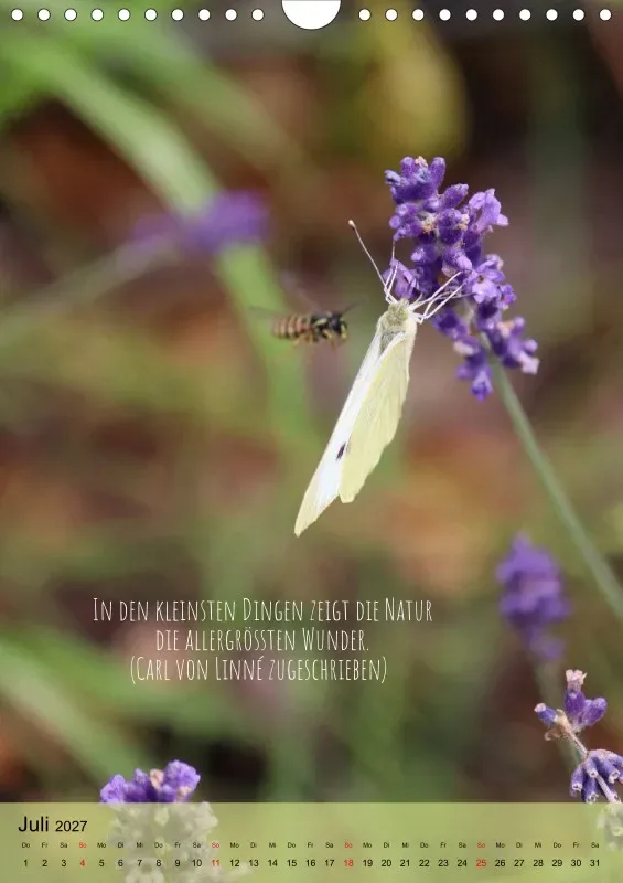 Naturflüstern - bunt und voller Leben
