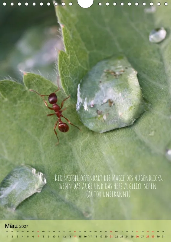 Naturflüstern - bunt und voller Leben