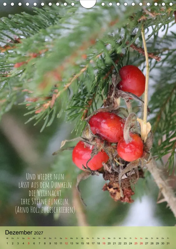 Naturflüstern - bunt und voller Leben