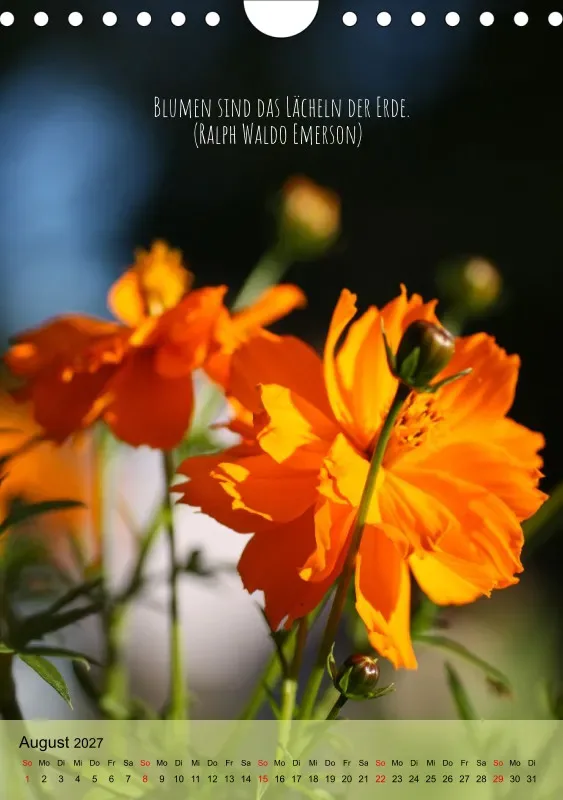 Naturflüstern - bunt und voller Leben