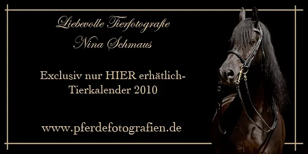 Pferdefotografien Nina Schmaus