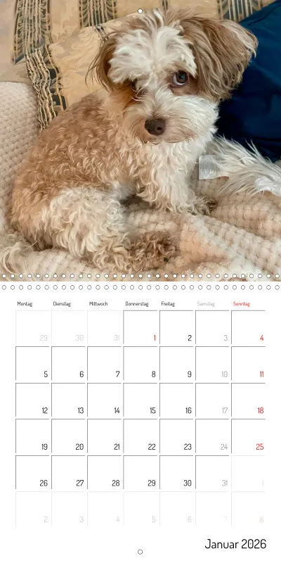 Klappkalender 2026