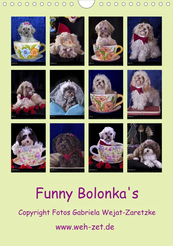 Funny Bolonka 2024 A4