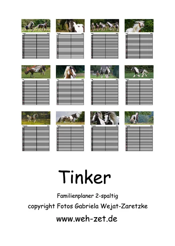 Tinker 2019 Planer