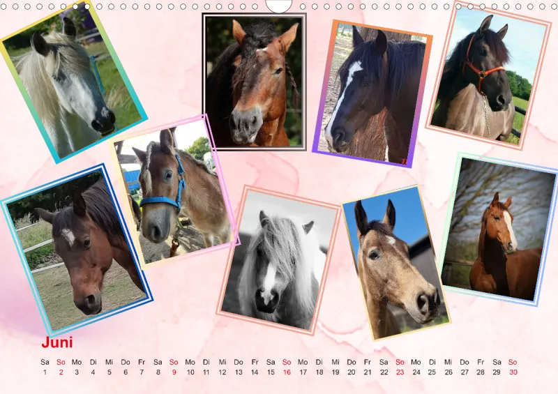 Ponyscheune 2024
