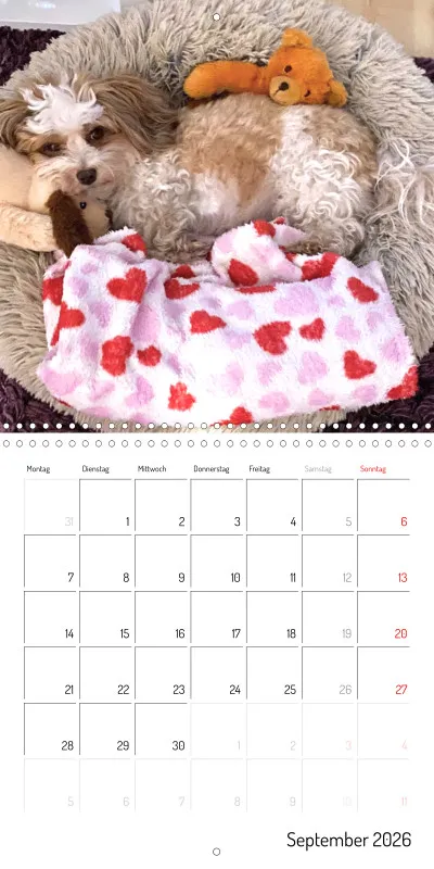 Klappkalender 2026
