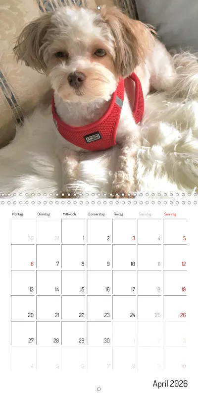 Klappkalender 2026