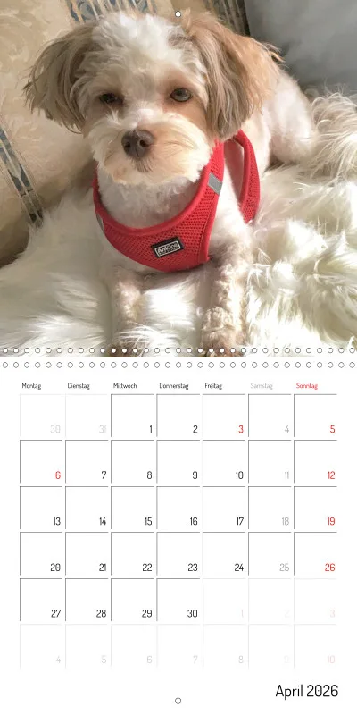 Klappkalender 2026