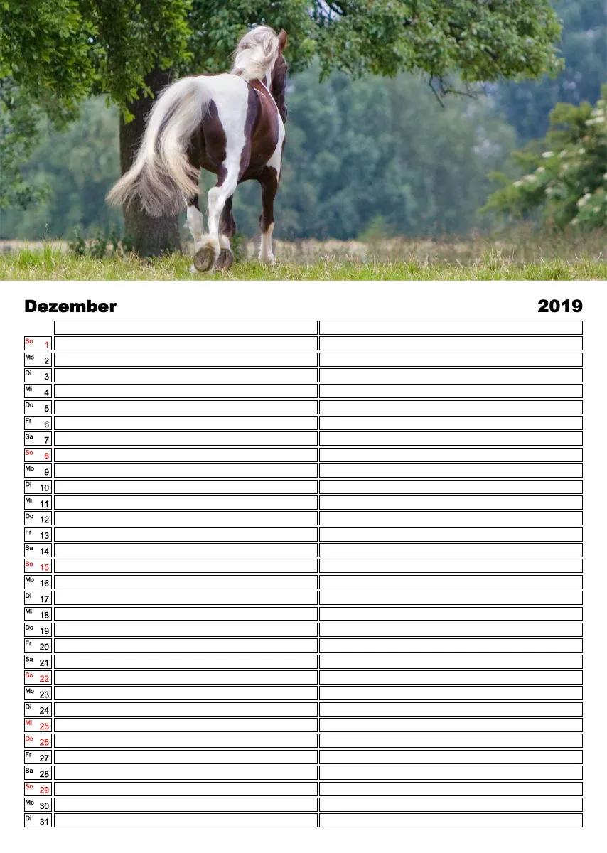 Tinker 2019 Planer