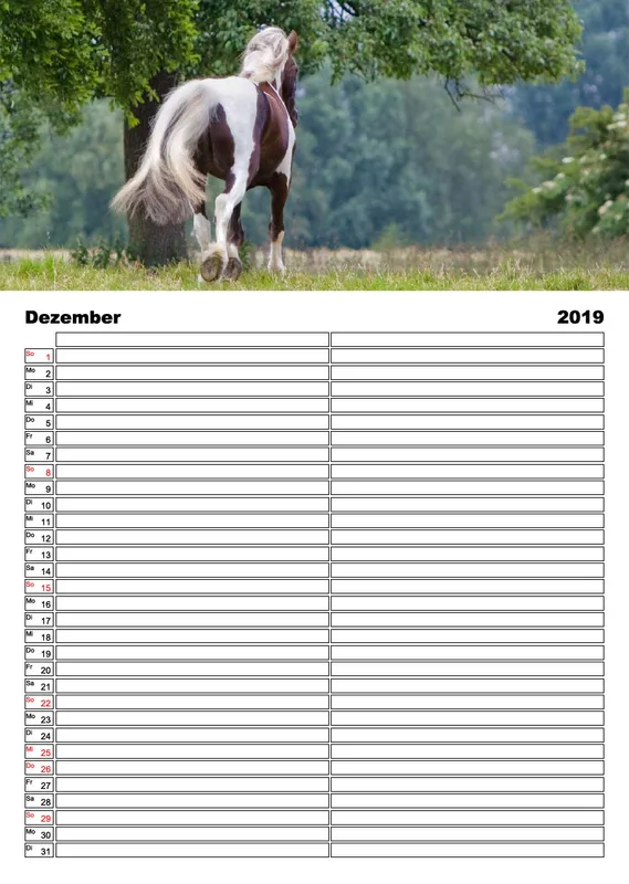 Tinker 2019 Planer