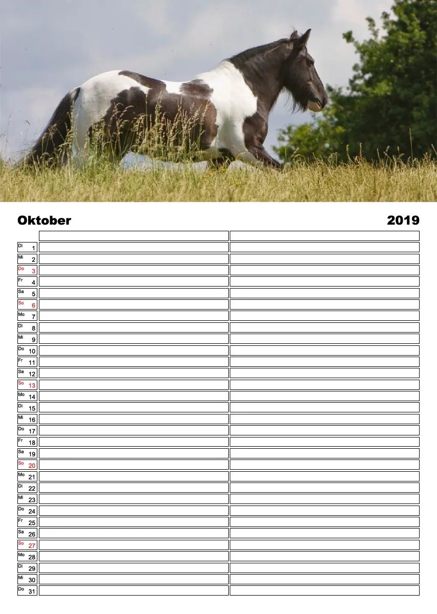 Tinker 2019 Planer