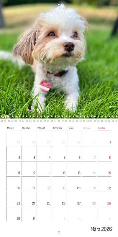 Klappkalender 2026