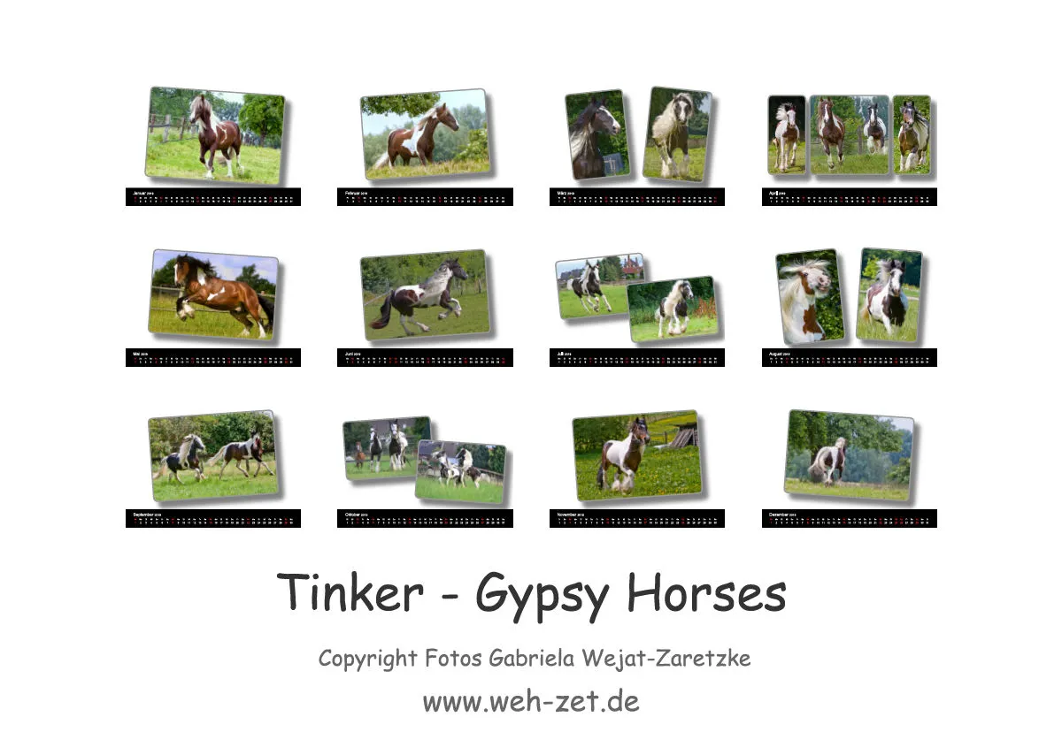 Tinker - Gypsy Horses A3 2019