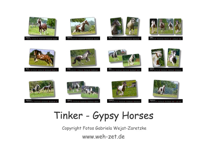 Tinker - Gypsy Horses A3 2019