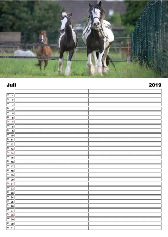 Tinker 2019 Planer