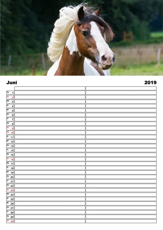 Tinker 2019 Planer