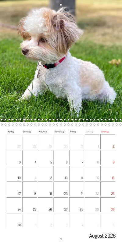 Klappkalender 2026