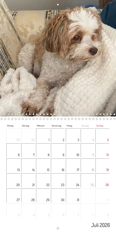 Klappkalender 2026