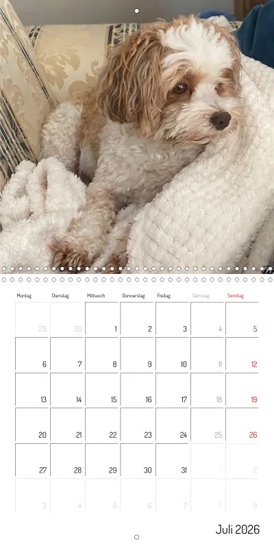 Klappkalender 2026