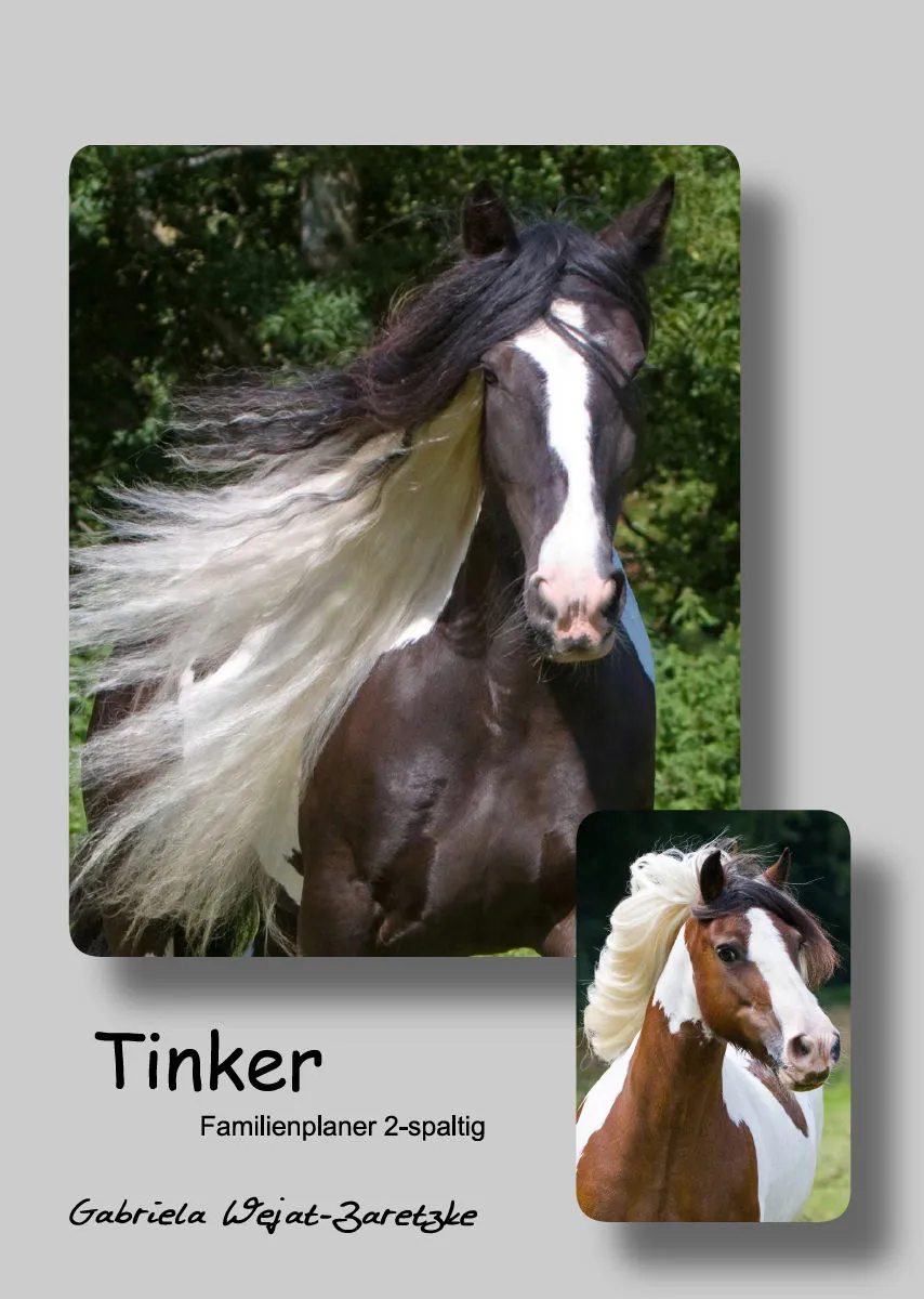 Tinker 2019 Planer