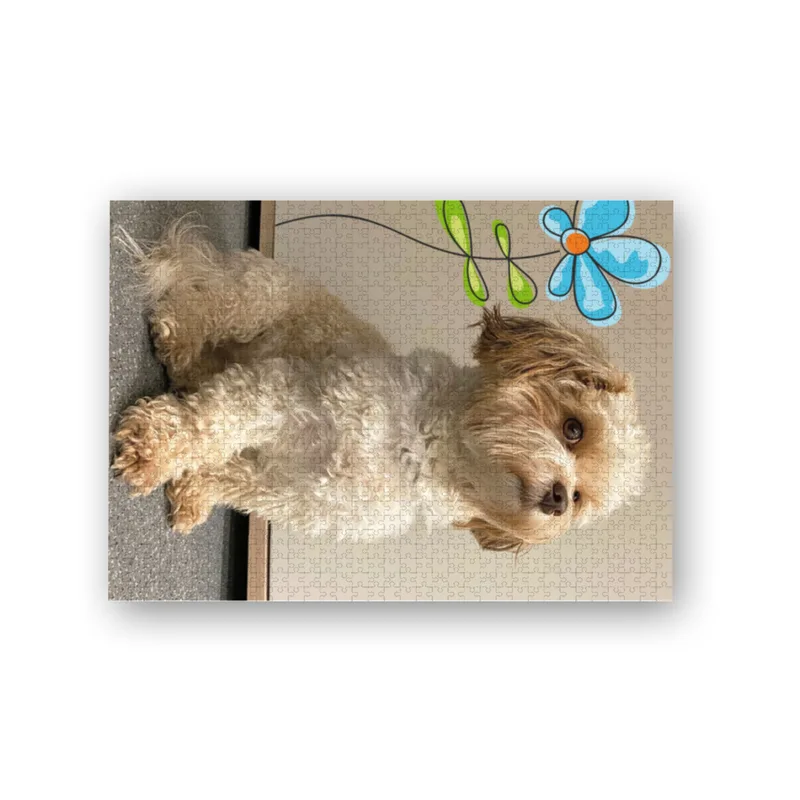 Puzzle