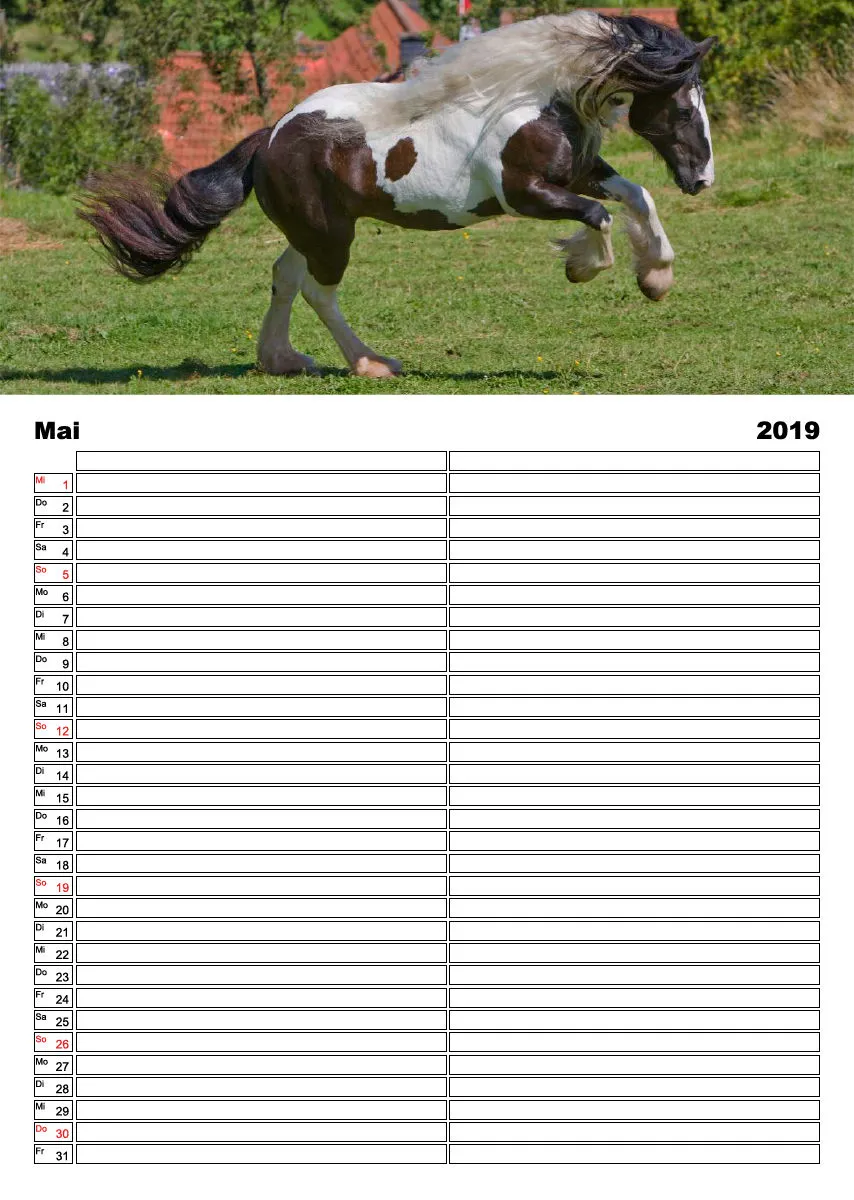 Tinker 2019 Planer