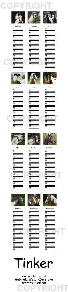 Tinker Streifenkalender 2019