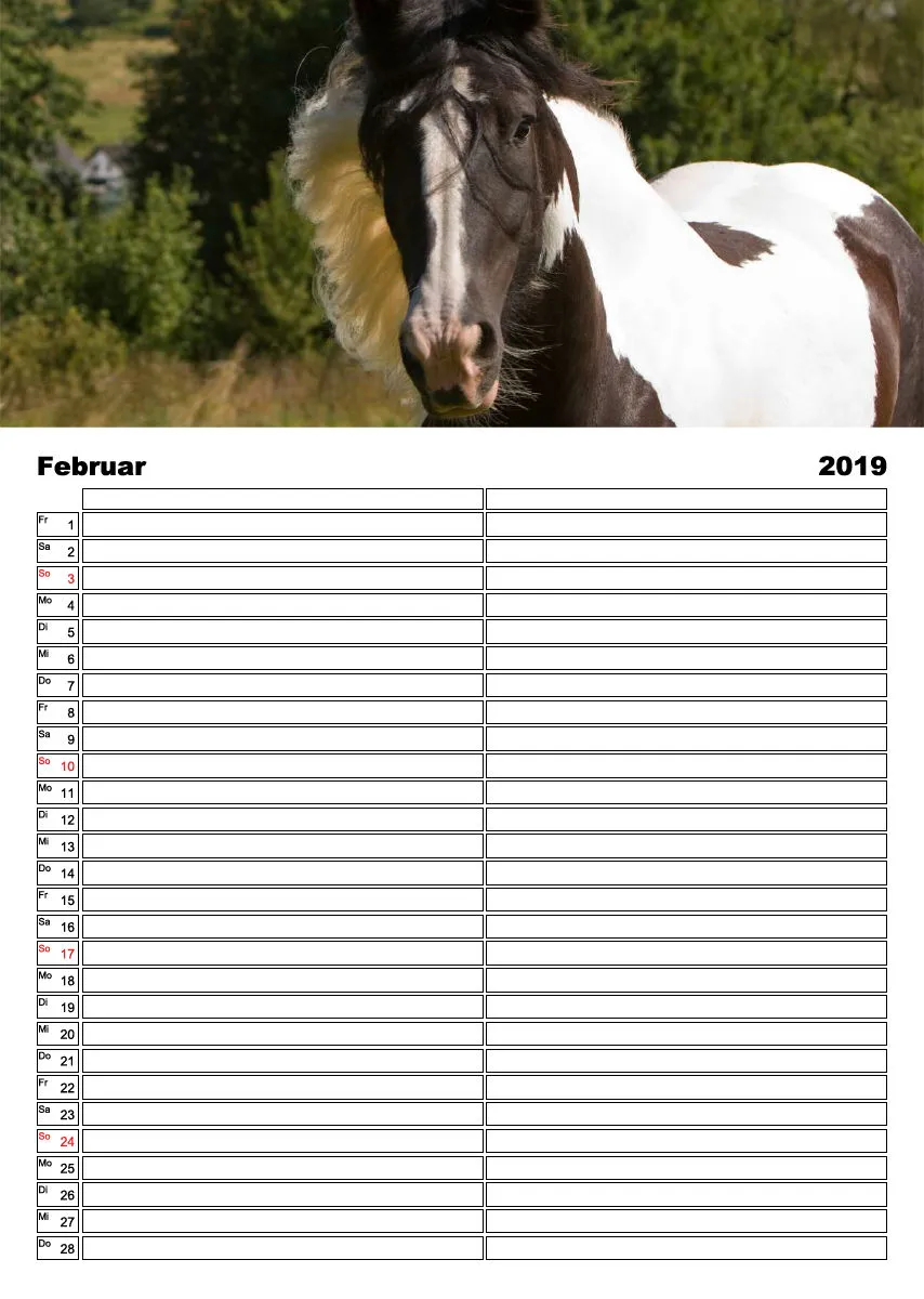 Tinker 2019 Planer