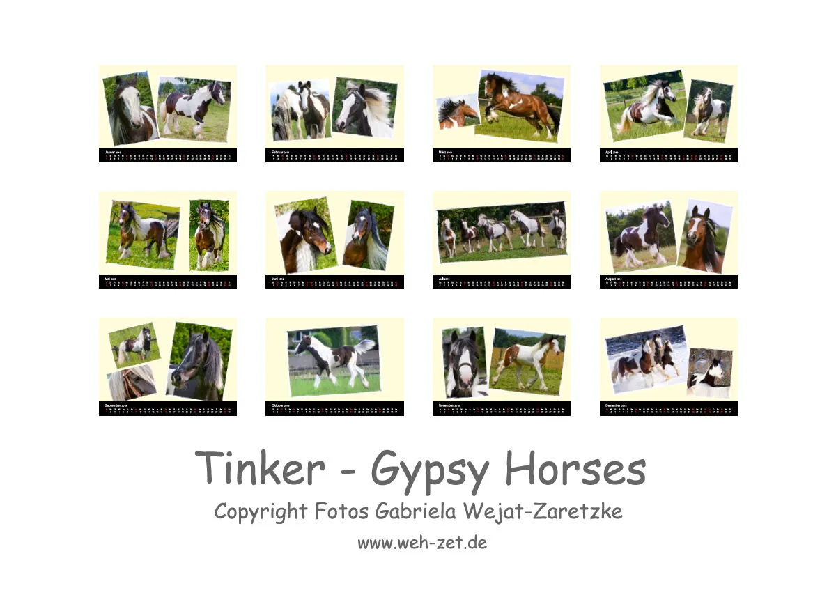 Gypsy Horses 2019