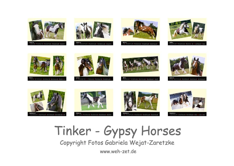 Gypsy Horses 2019