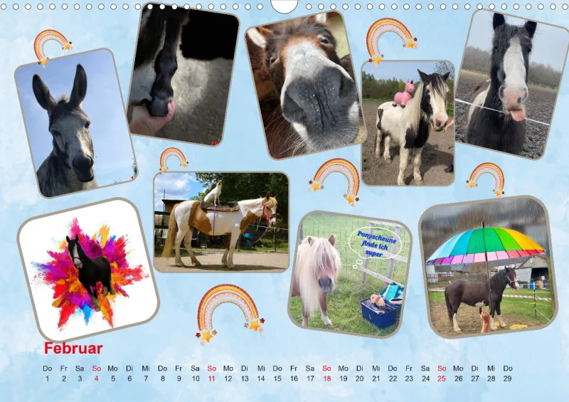 Ponyscheune 2024