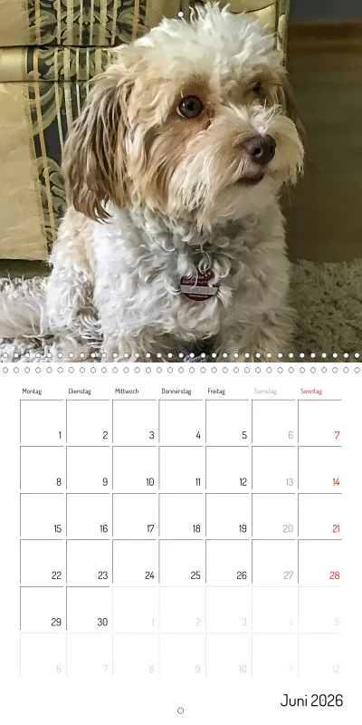 Klappkalender 2026