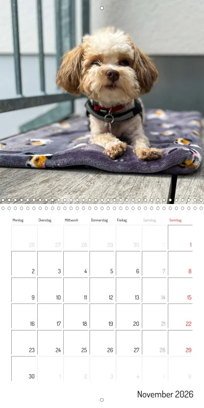 Klappkalender 2026