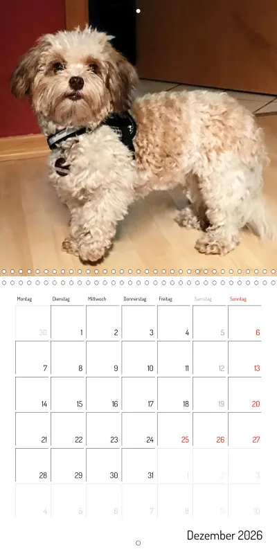 Klappkalender 2026