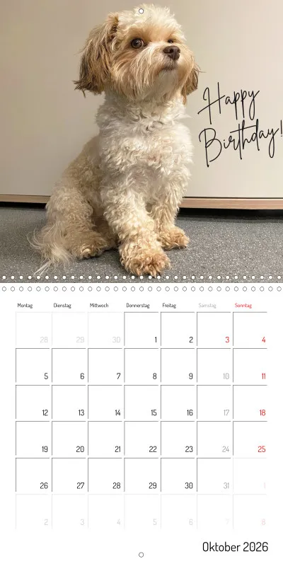 Klappkalender 2026