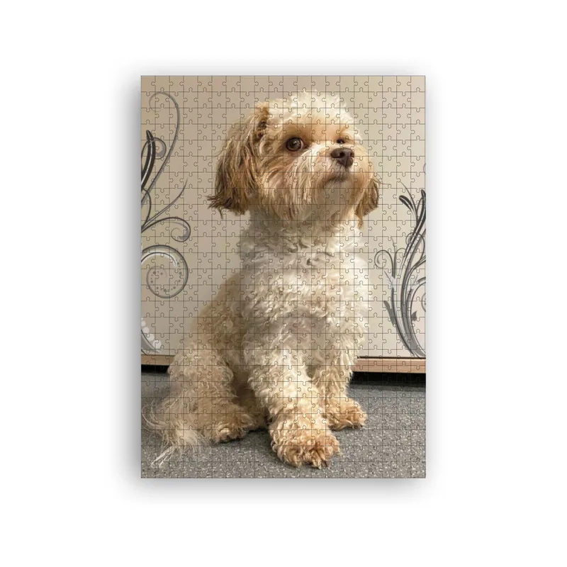 Puzzle