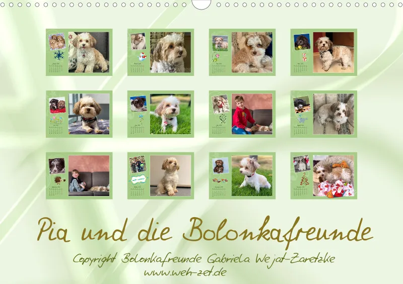 Pia Kalender A3 2026