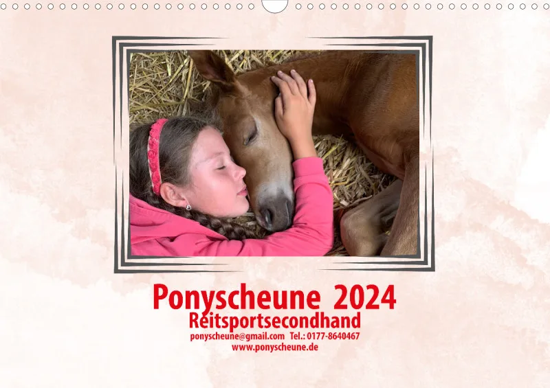 Ponyscheune 2024
