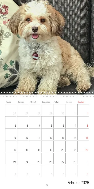 Klappkalender 2026