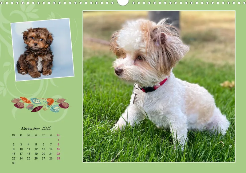 Pia Kalender A3 2026